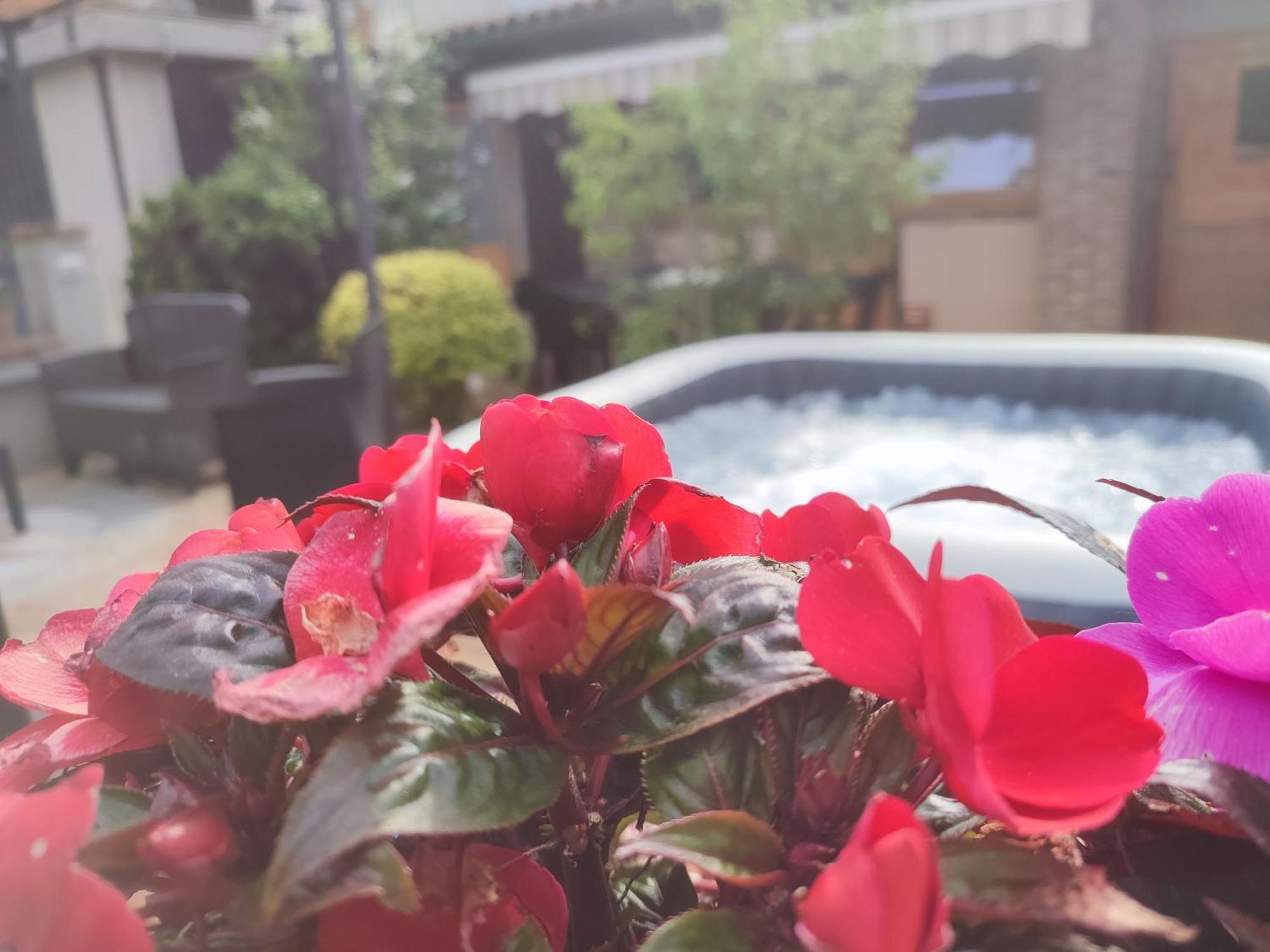 San Paolo Solbrito Casa Lilly 아파트 외부 사진
